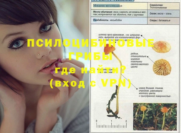 ГАЛЛЮЦИНОГЕННЫЕ ГРИБЫ Арсеньев