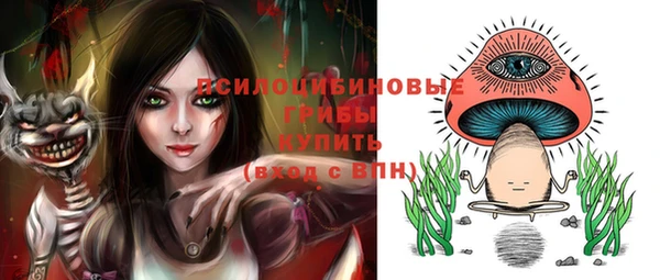 спайс Аркадак