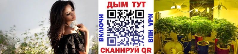 Канабис семена  купить закладку  Миньяр 